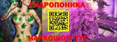 ПСИЛОЦИБИНОВЫЕ ГРИБЫ Бузулук