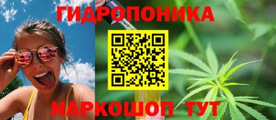 PSILOCYBIN Будённовск