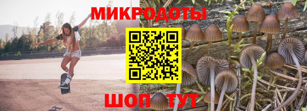 Галлюциногенные грибы MAGIC MUSHROOMS Солнечногорск