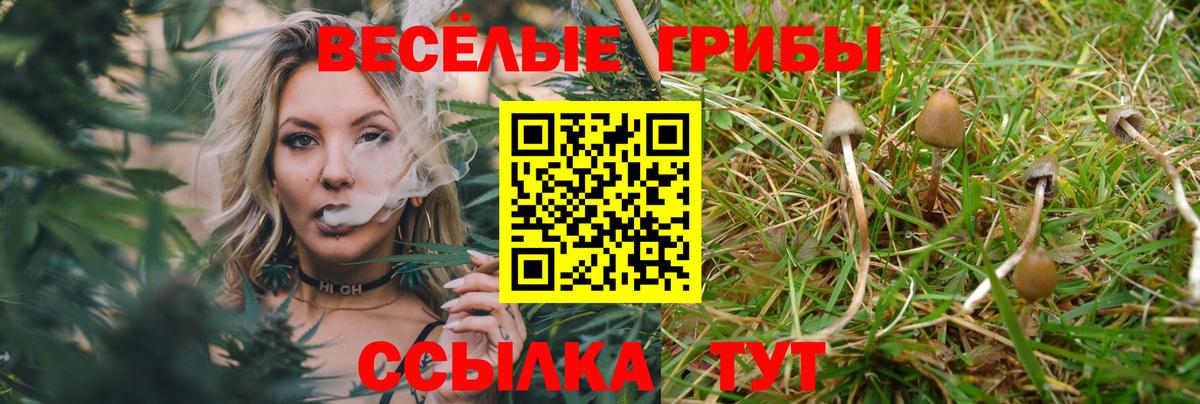 Солнечногорск  купить наркоту  Вход с VPN  Псилоцибиновые грибы Cubensis  Псилоцибиновые грибы мицелий 